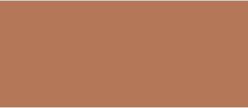 1035 Summer Beige(夏日淡棕)