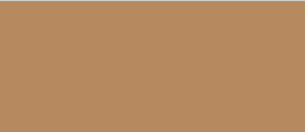 310 Cream Beige(奶油淡棕)