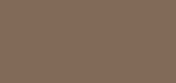 350 Desert Tan(沙漠褐)