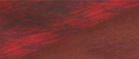 AS-700 Scarlet (猩红)