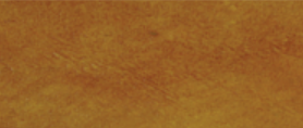 ES-400 Bronze(白色自流平)